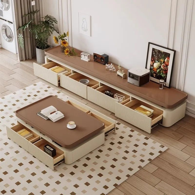 Modern Simple Living Room with Storage Drawer Coffee Table TV Cabinet Combo Set